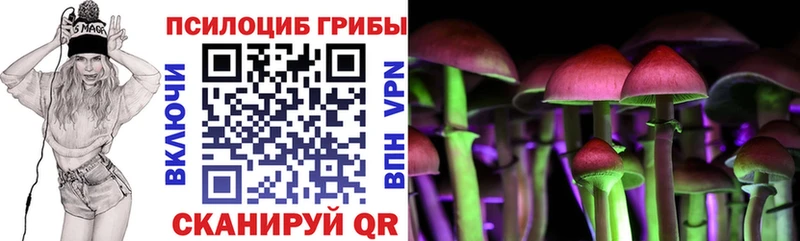 Галлюциногенные грибы Magic Shrooms  mega ТОР  Кызыл 