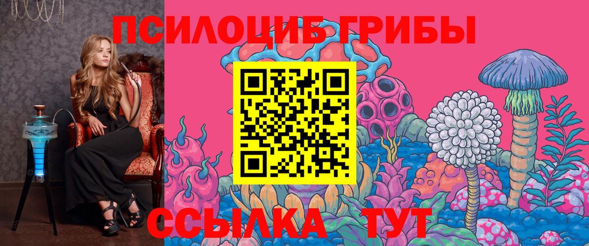 Псилоцибиновые грибы мицелий Кызыл